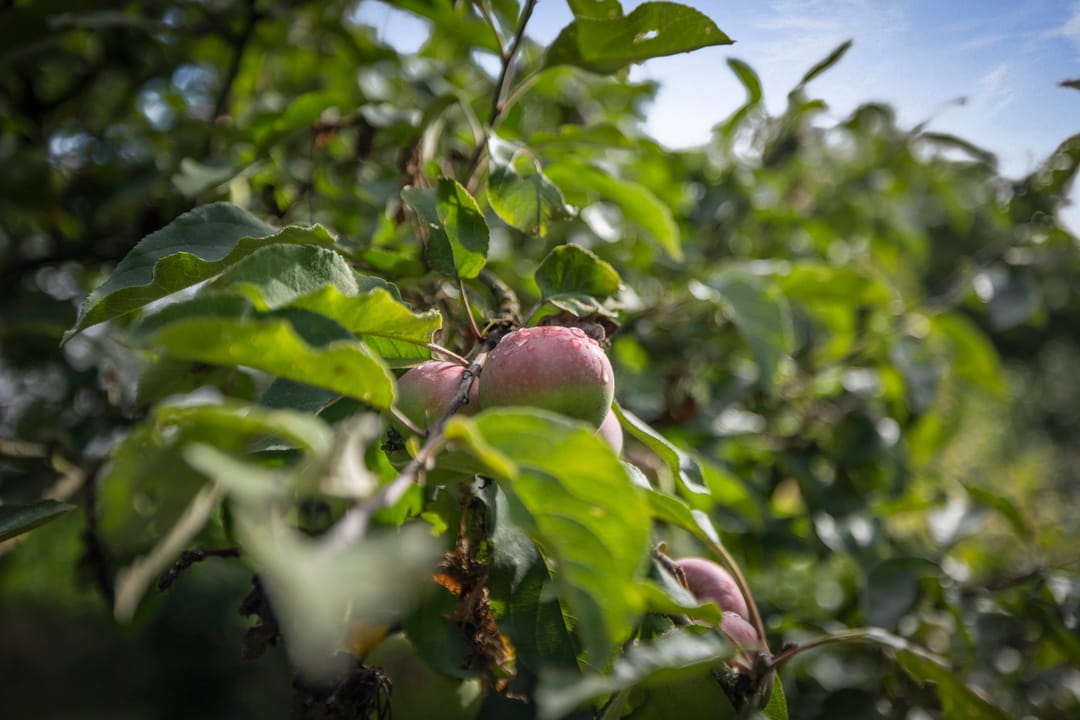 Foto 32 van Warfveendijk 18