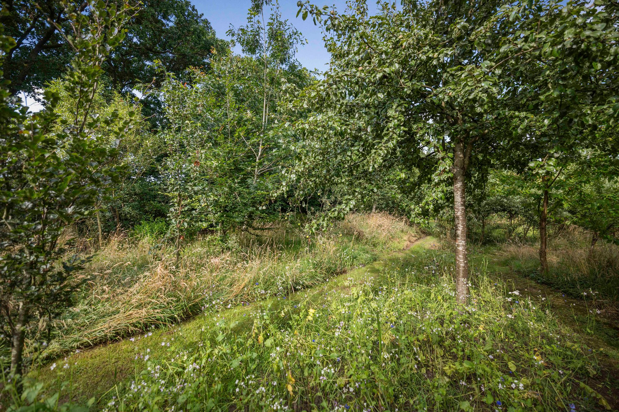 Foto 33 van Warfveendijk 18