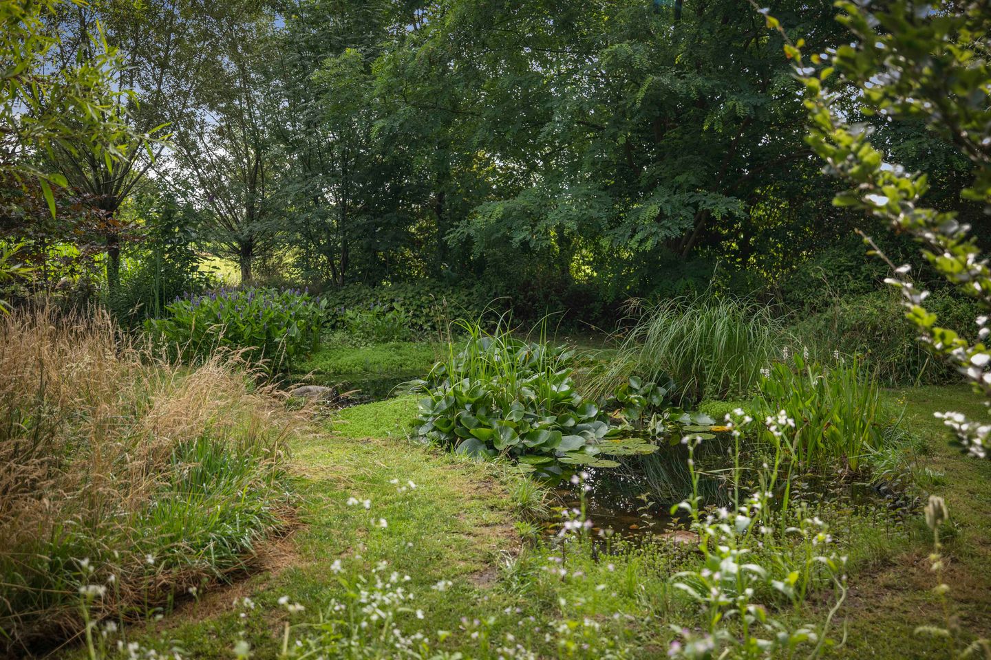 Foto 34 van Warfveendijk 18