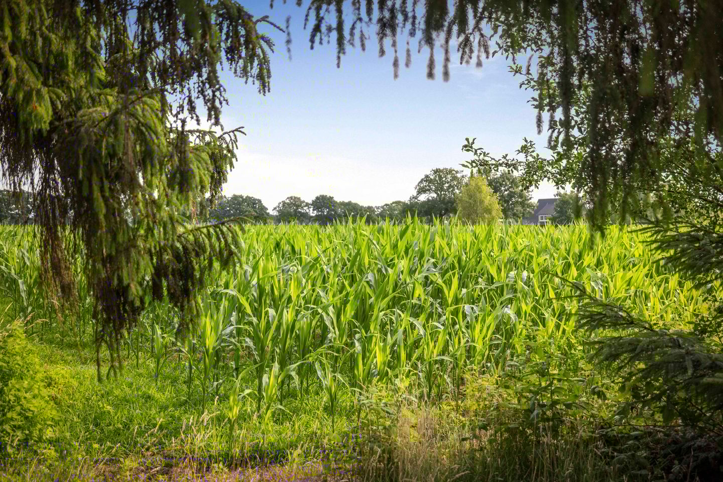 Foto 35 van Warfveendijk 18