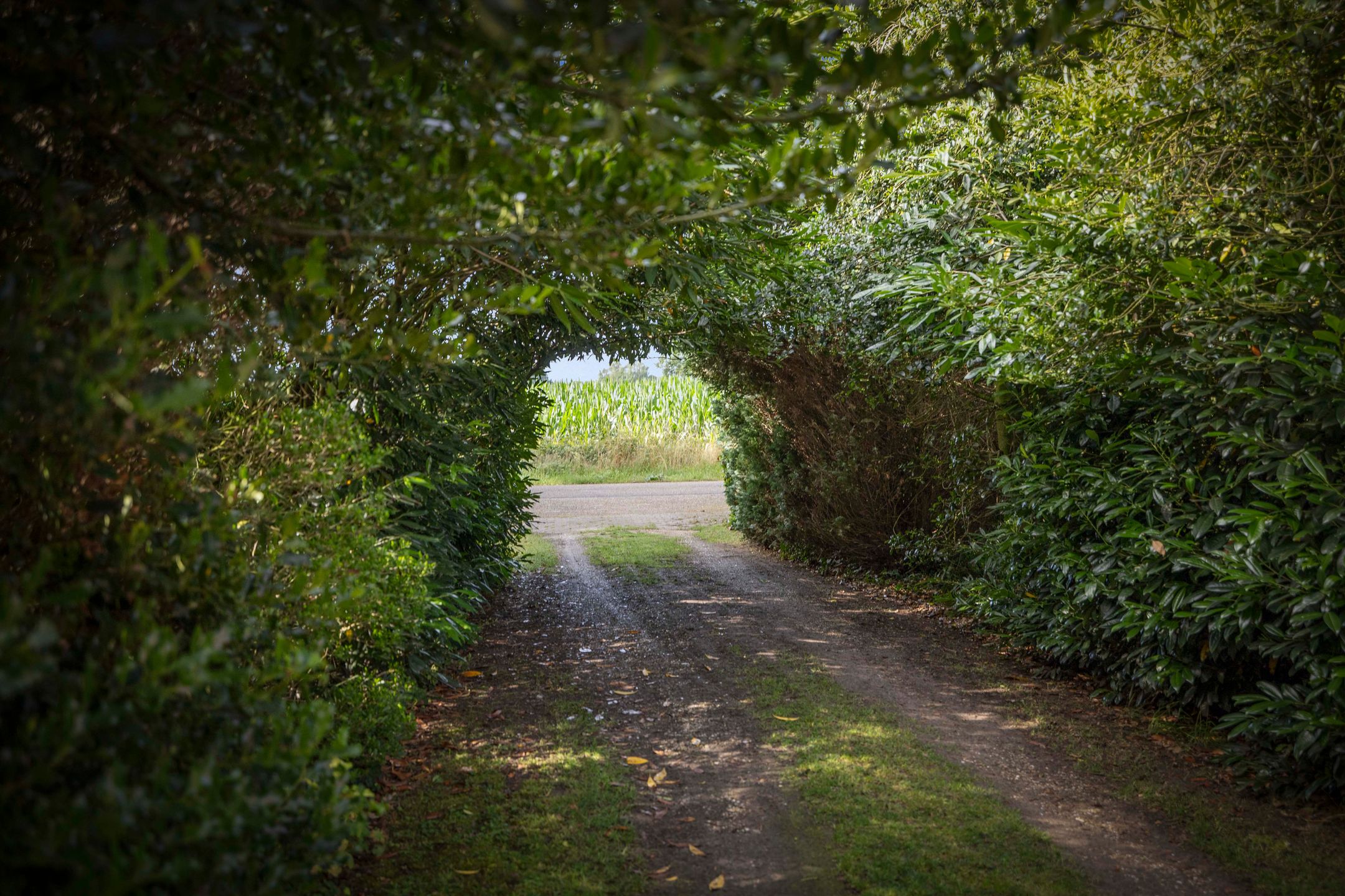 Foto 36 van Warfveendijk 18