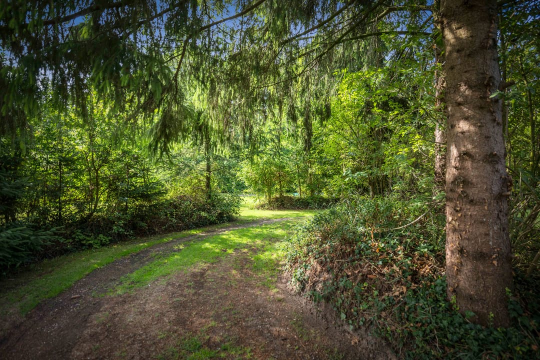 Foto 37 van Warfveendijk 18