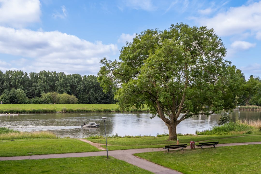 Foto 32 van Beekmanstraat 17