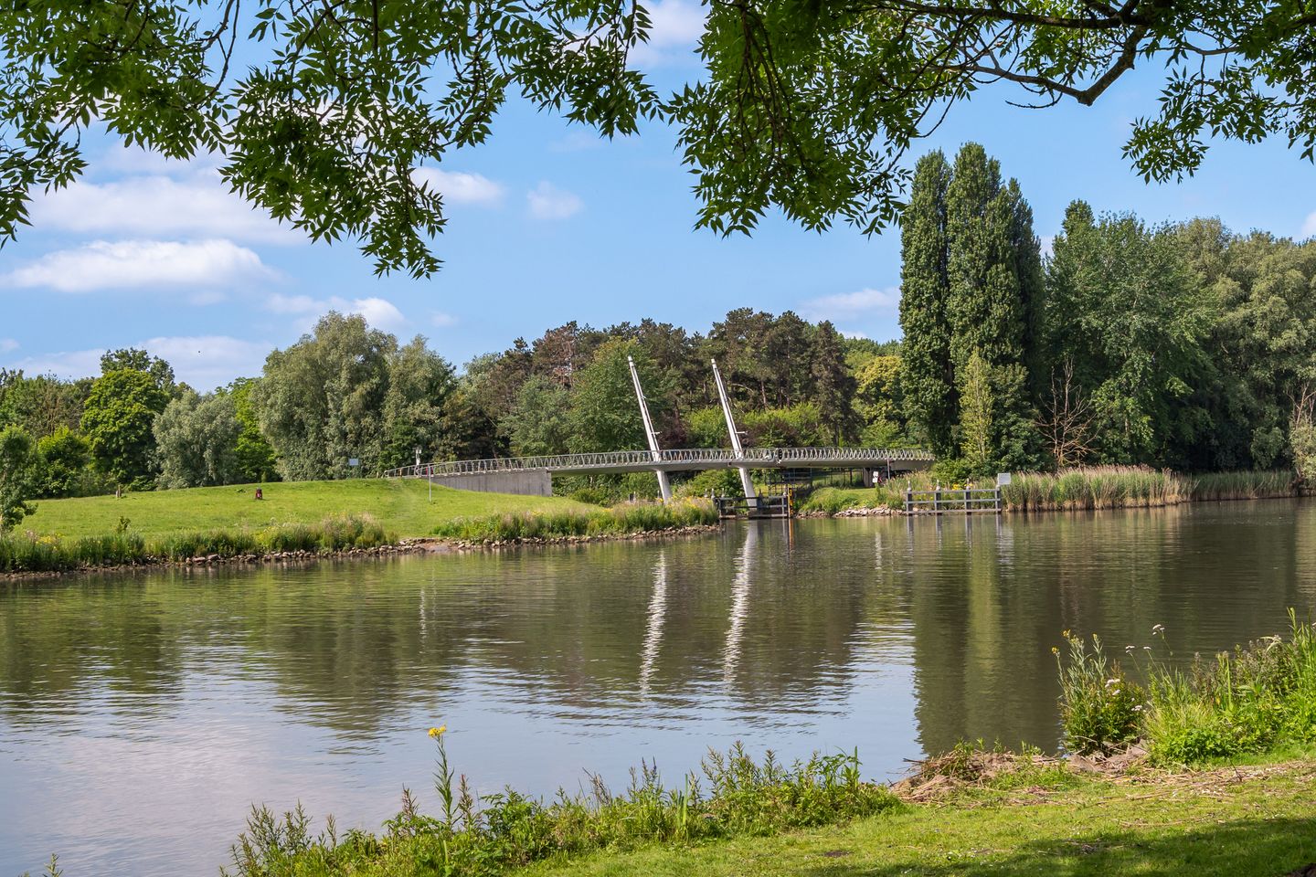 Foto 35 van Beekmanstraat 17