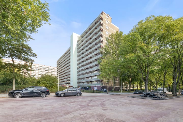 Foto 1 van Nieuwendamlaan 52