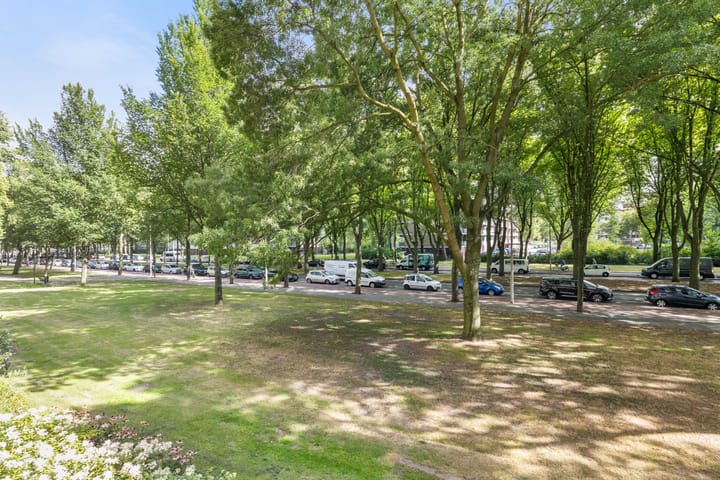 Foto 20 van Nieuwendamlaan 52