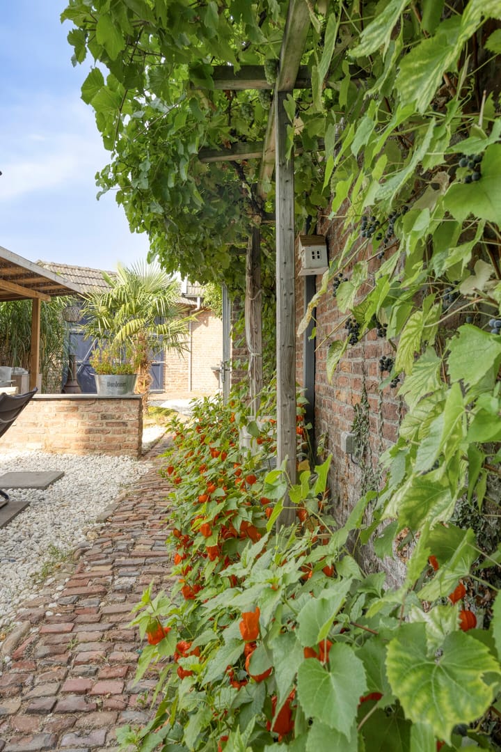 Photo 65 of Grachtstraat 9