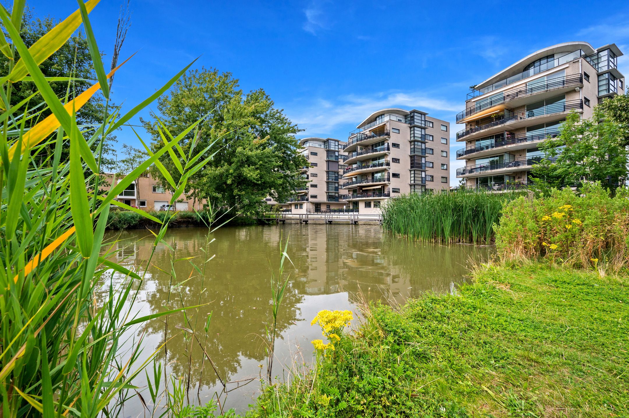 Foto 36 van Van der Lelijstraat 15-III