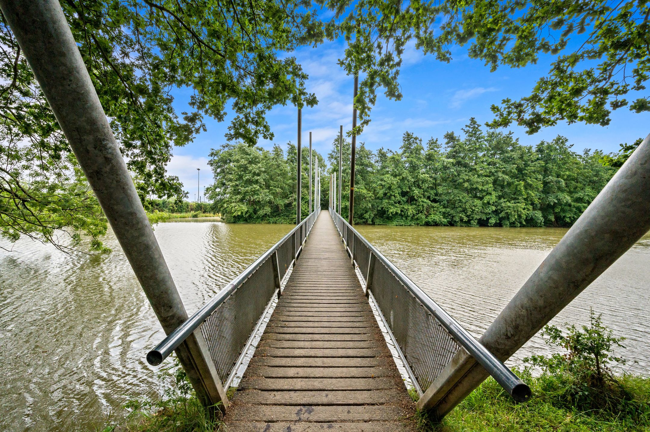 Foto 39 van Van der Lelijstraat 15-III