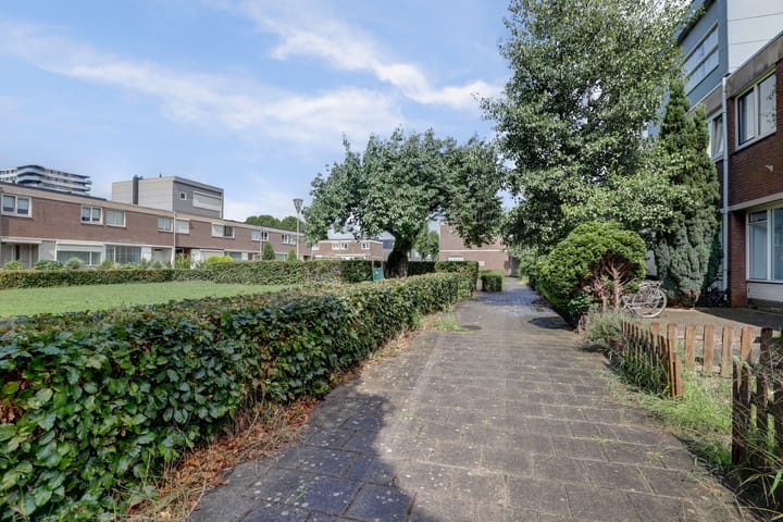 Foto 3 van Hoeckelumstraat 21