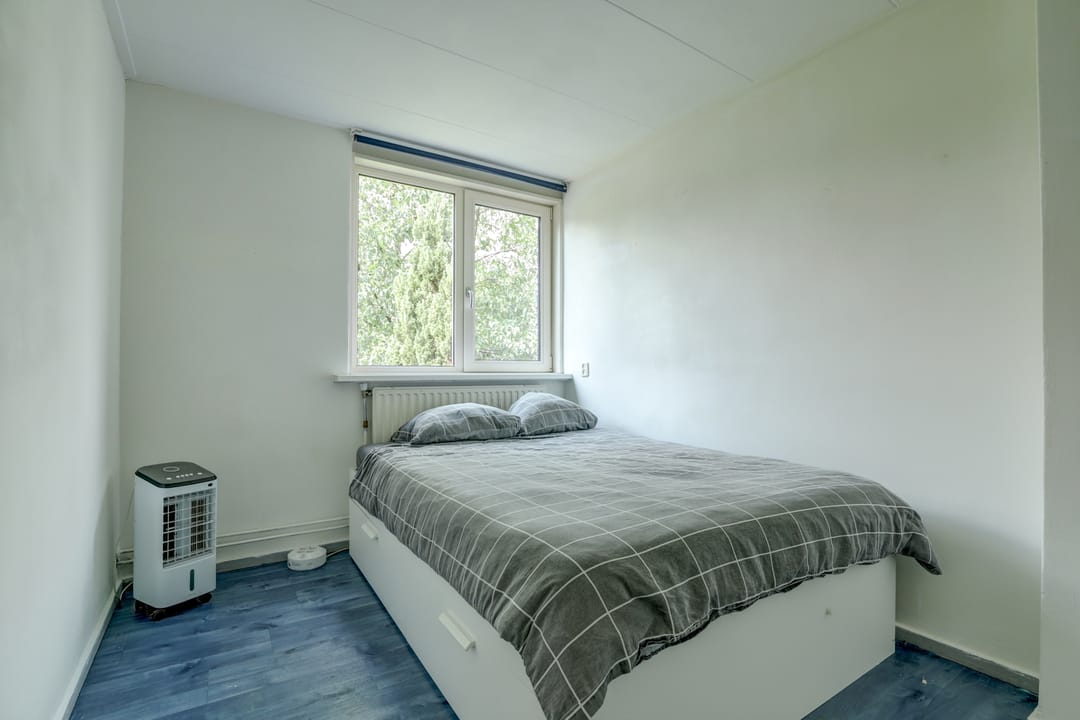 Foto 32 van Hoeckelumstraat 21