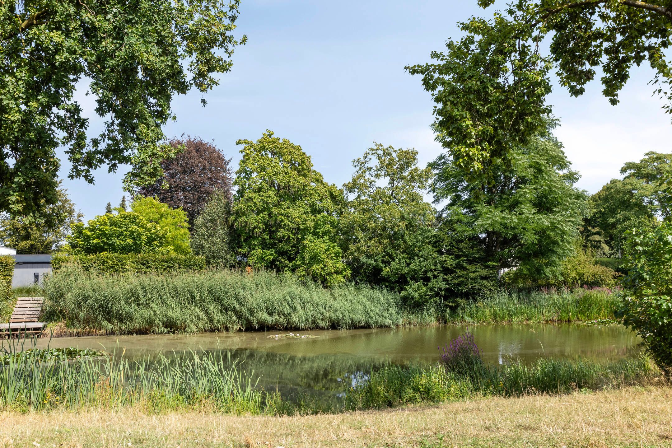 Foto 36 van Constantijnstraat 27