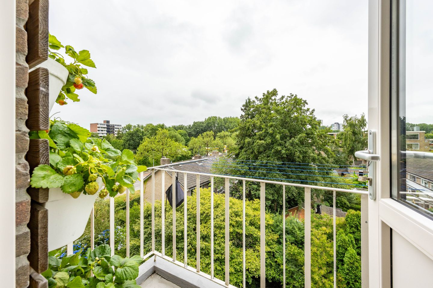 Foto 19 van Van Ketwich Verschuurlaan 195