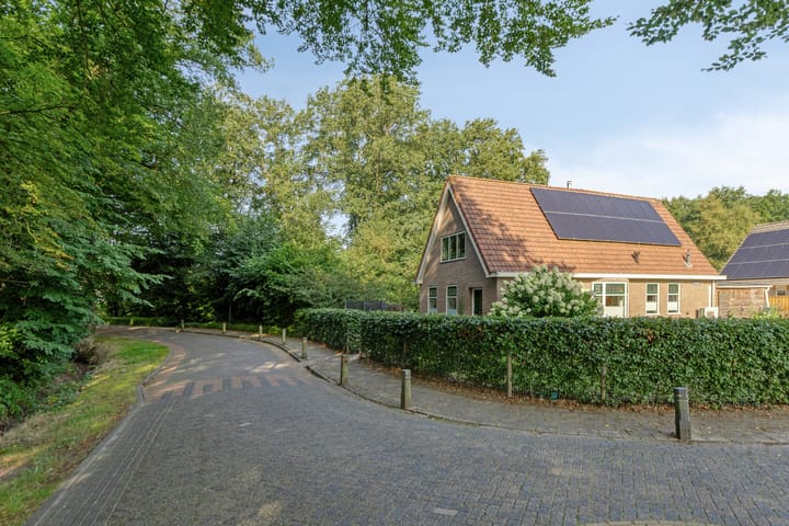 Foto 3 van Stegingaweg 9