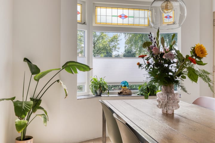 Foto 15 van Stegingaweg 9