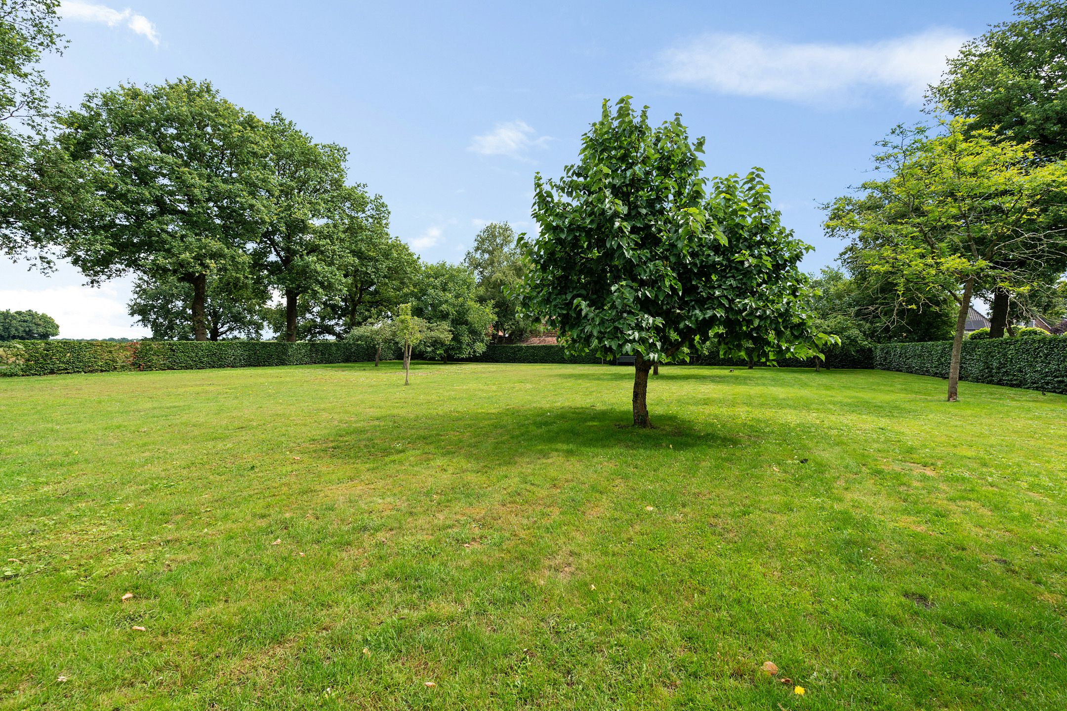 Foto 42 van Mepperstraat 1