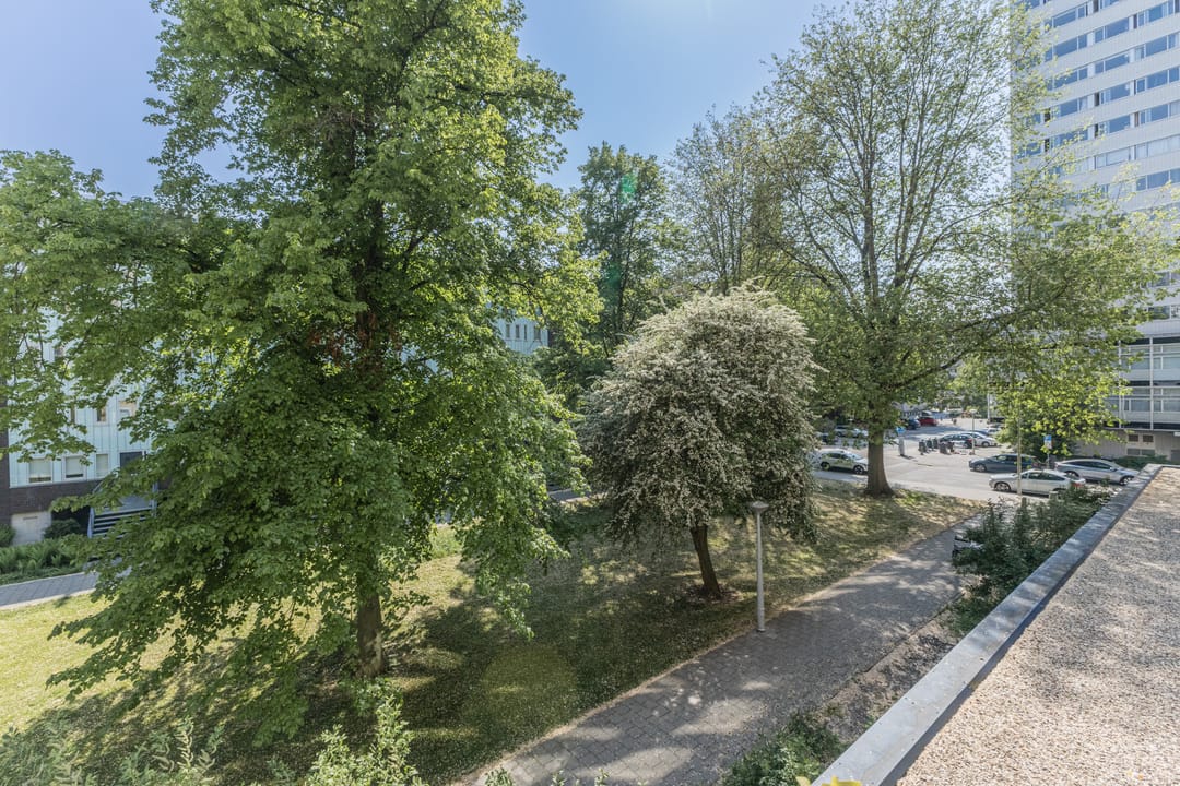 Foto 22 van Van Nijenrodeweg 153