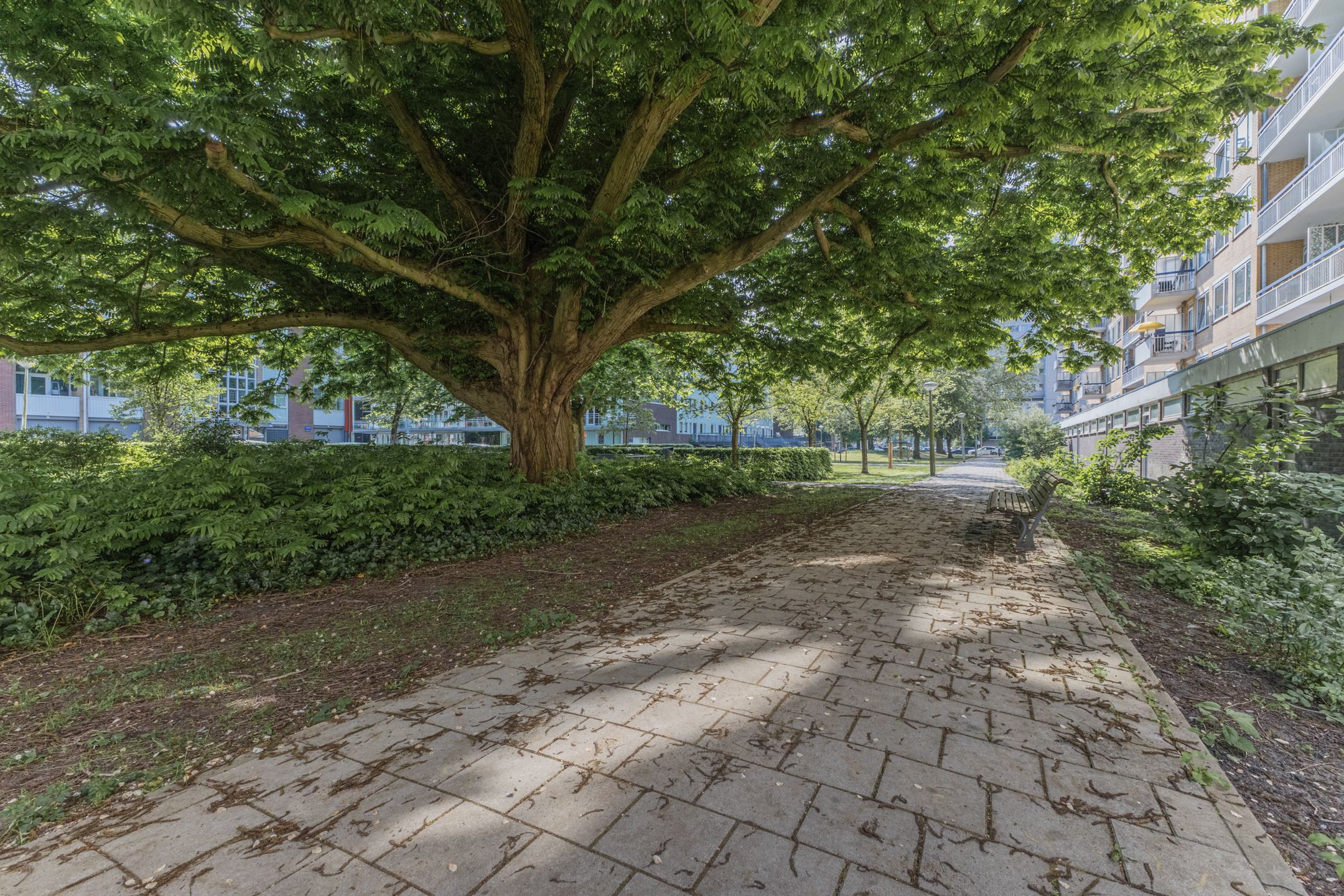 Foto 30 van Van Nijenrodeweg 153