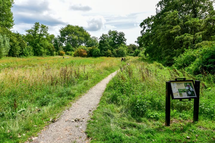 Foto 27 van Oranjelaan 75