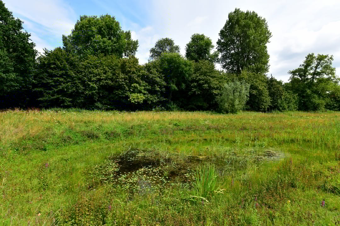 Foto 28 van Oranjelaan 75