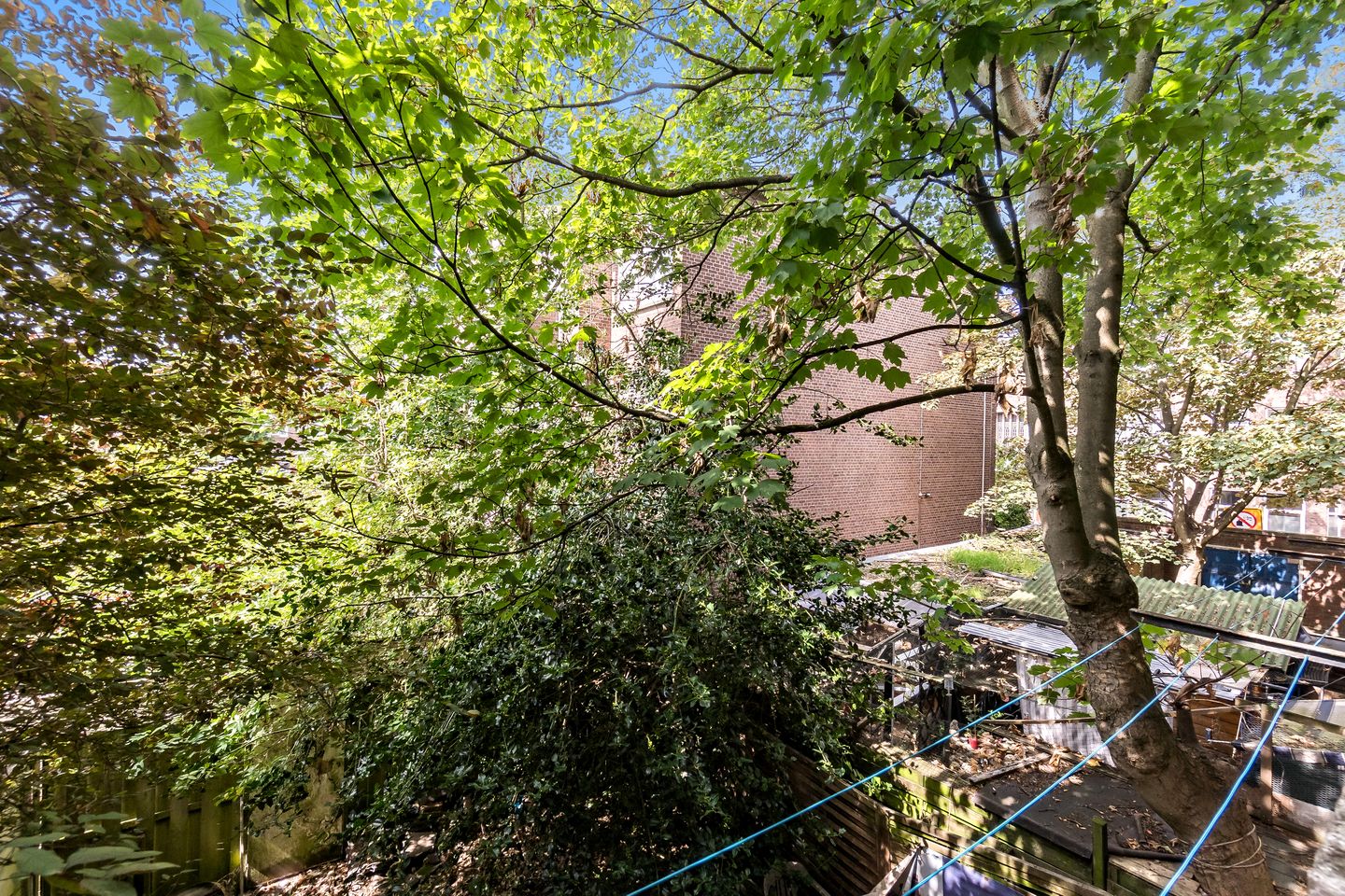 Foto 34 van Wapenveldestraat 41