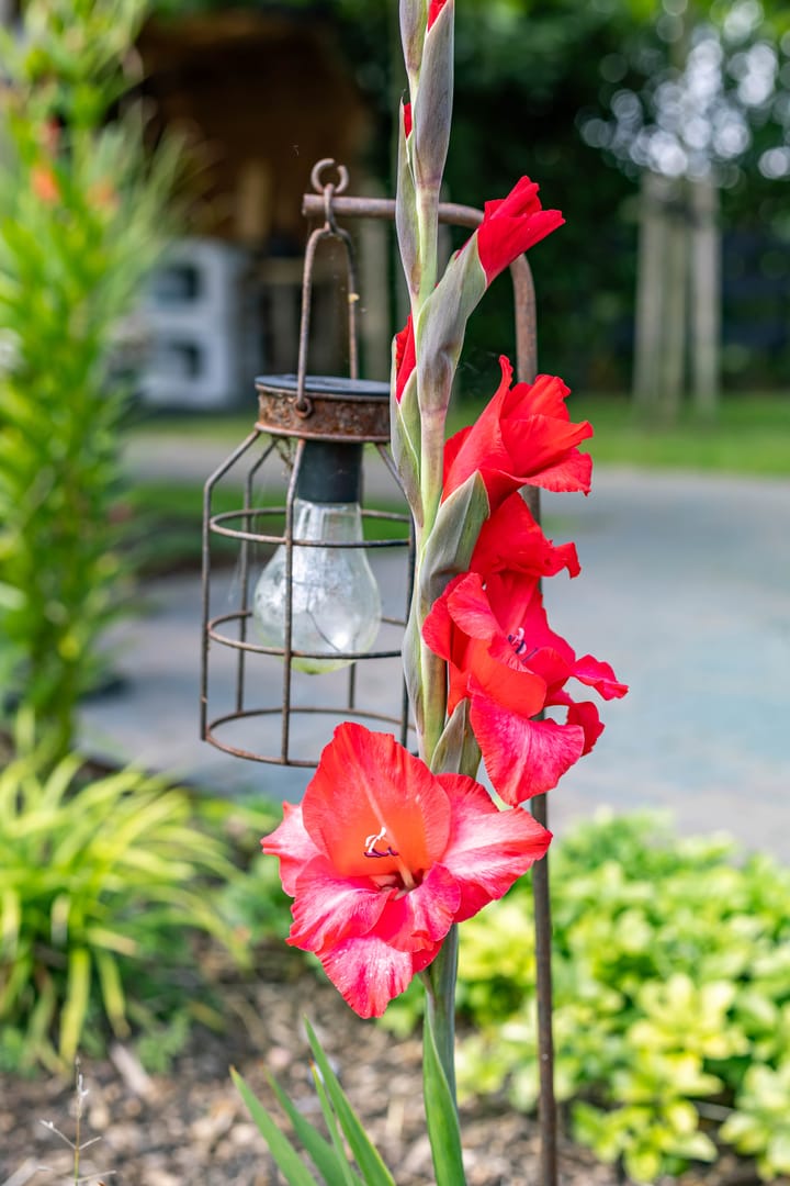 Foto 59 van Kaleweg 9