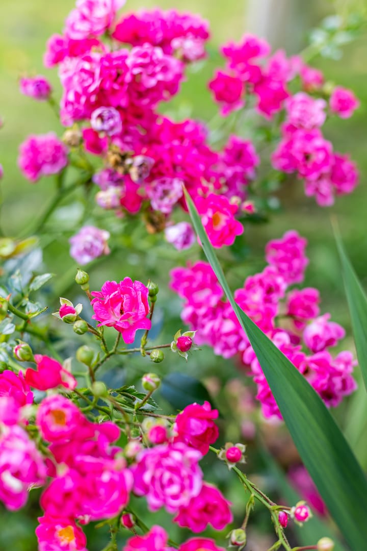 Foto 78 van Kaleweg 9