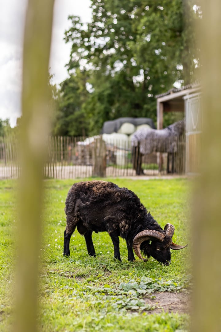 Foto 85 van Kaleweg 9