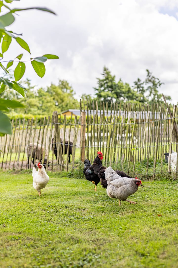 Foto 86 van Kaleweg 9