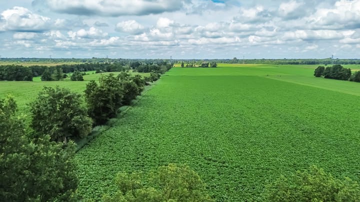 Foto 101 van Kaleweg 9