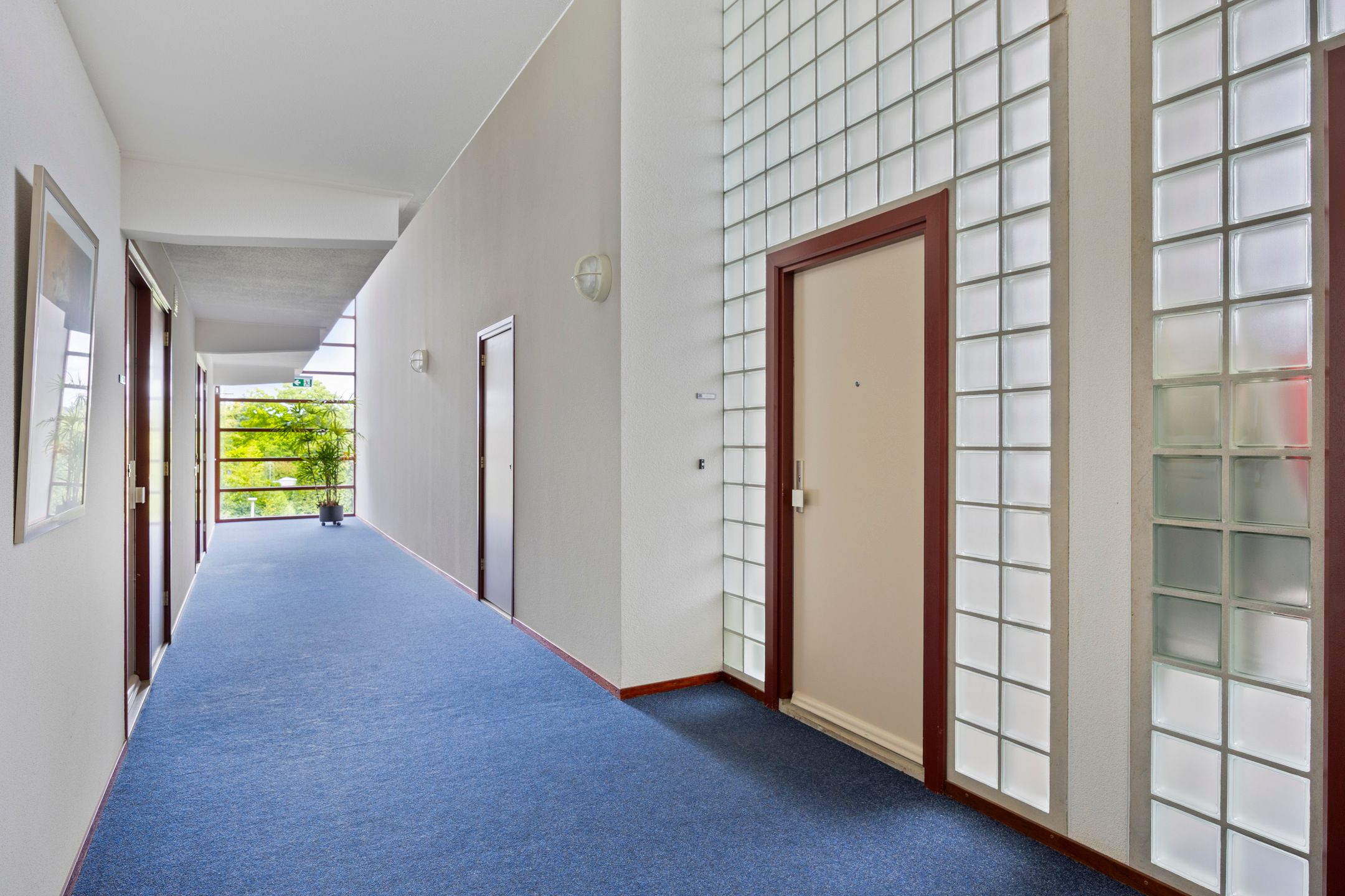 Foto 30 van Grote Loef 36