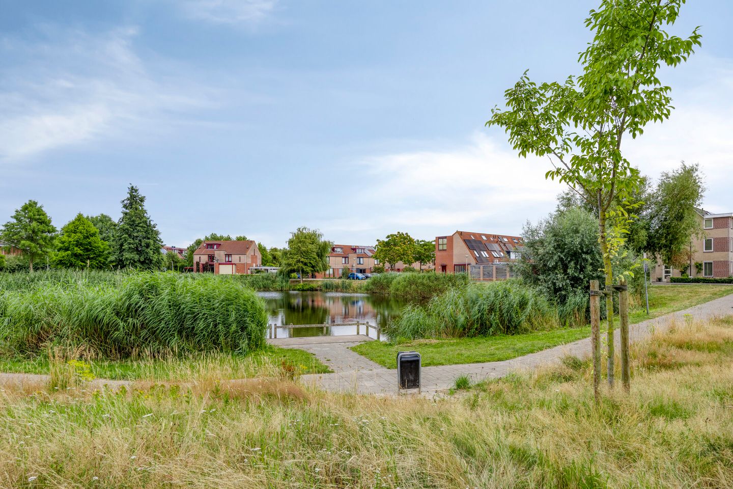 Foto 35 van Grote Loef 36