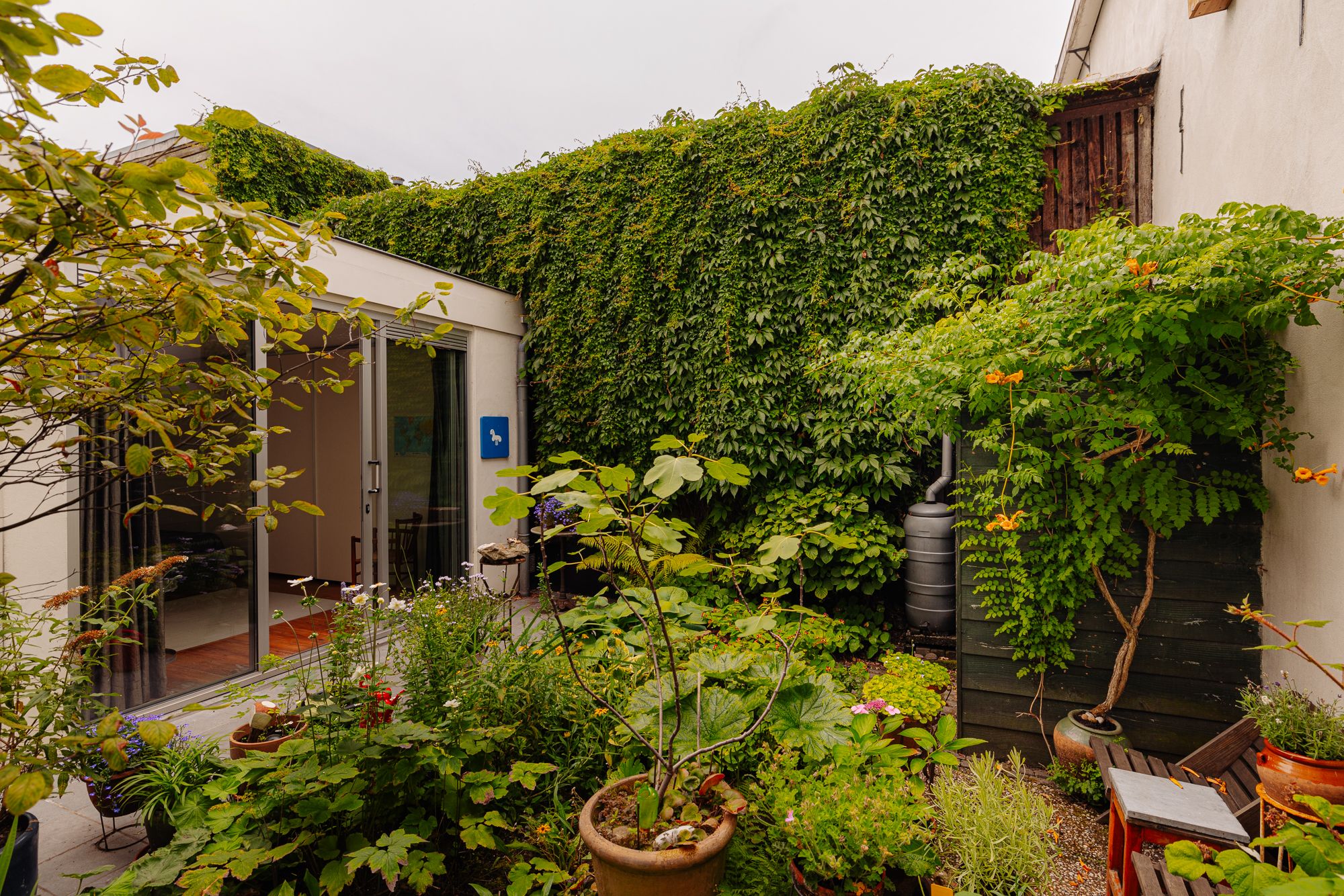 Photo 3 of Palmgracht 40