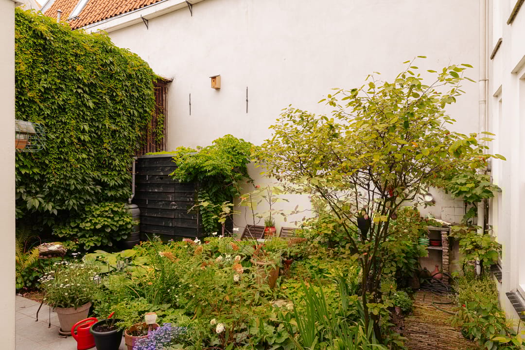 Photo 23 of Palmgracht 40