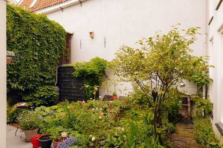 Photo 23 of Palmgracht 40