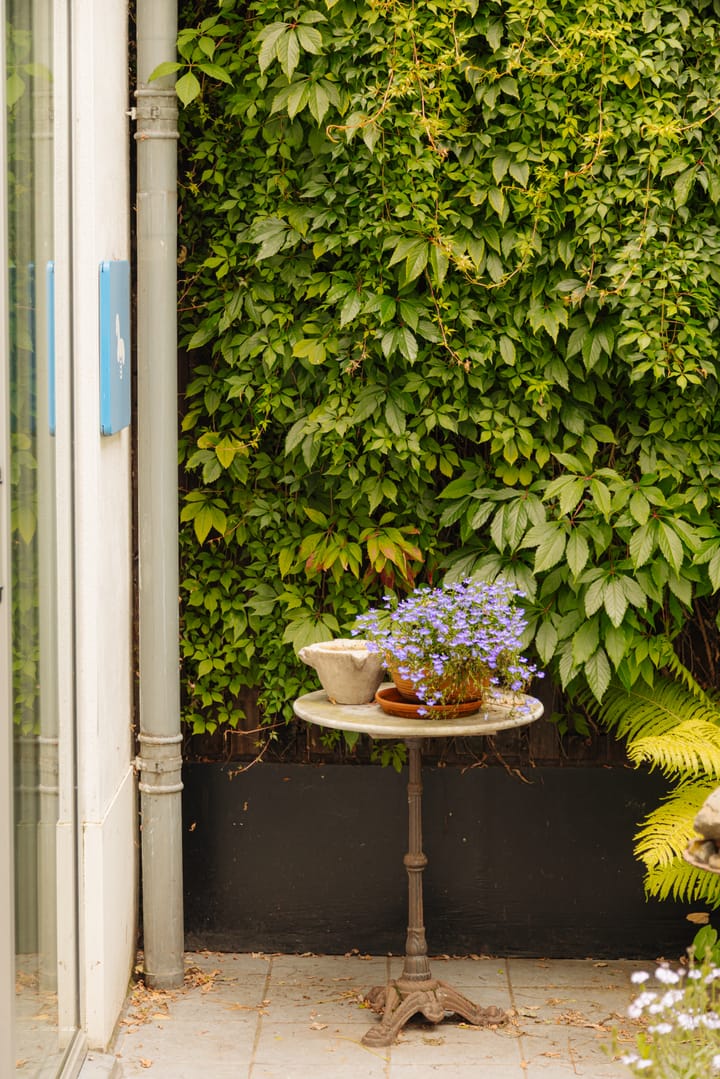 Photo 26 of Palmgracht 40