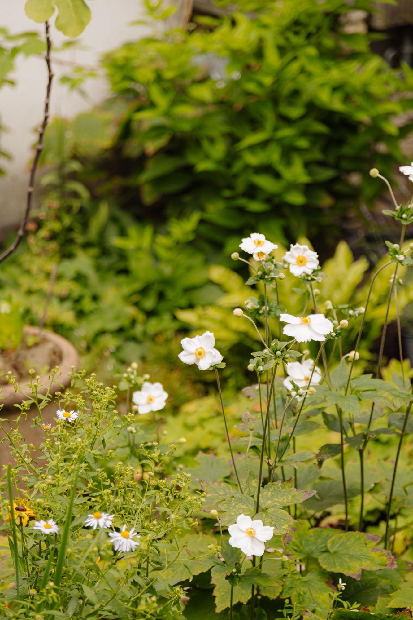 Photo 27 of Palmgracht 40