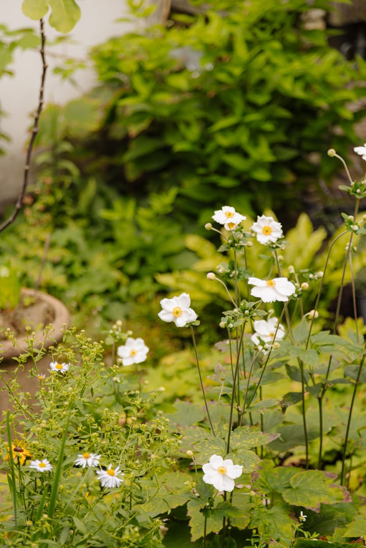 Photo 27 of Palmgracht 40