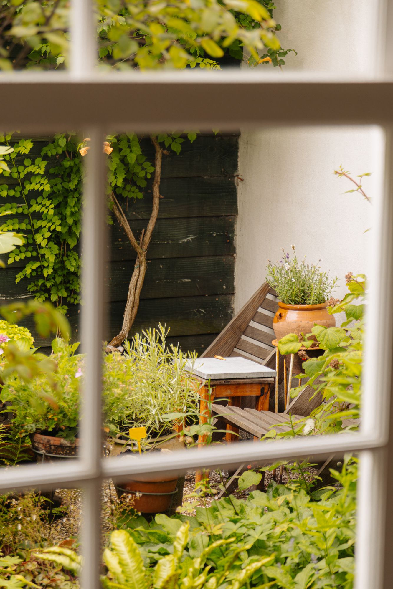 Photo 29 of Palmgracht 40