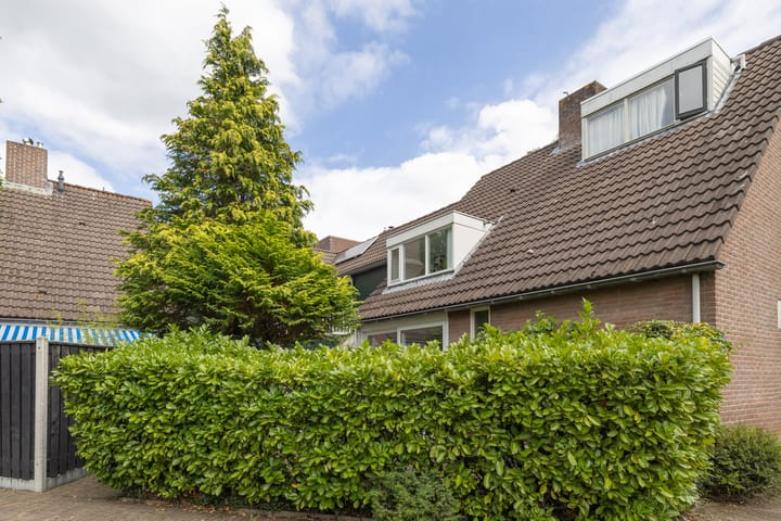 Foto 2 van Tesselschadelaan 65