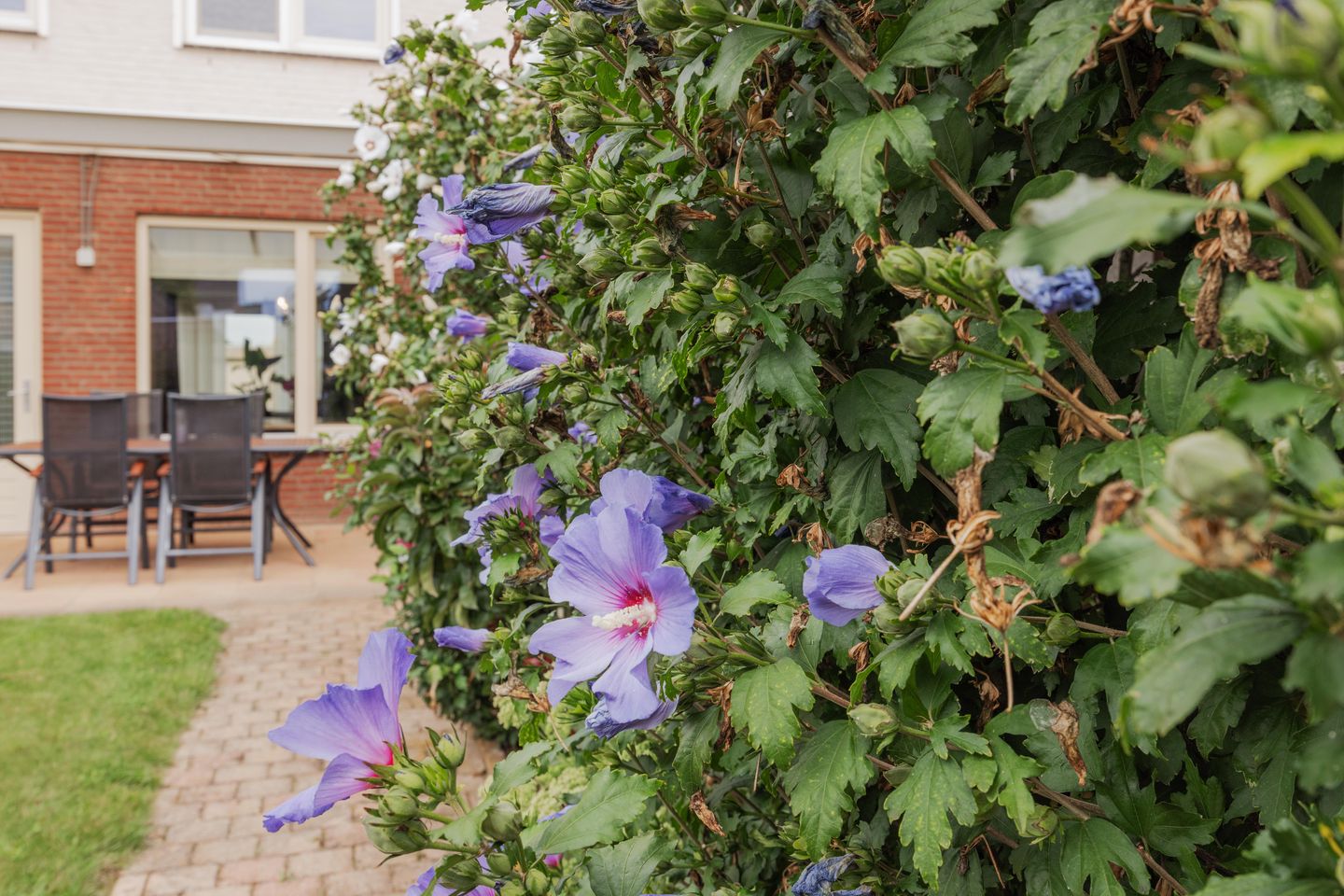 Foto 40 van De Patrijs 8