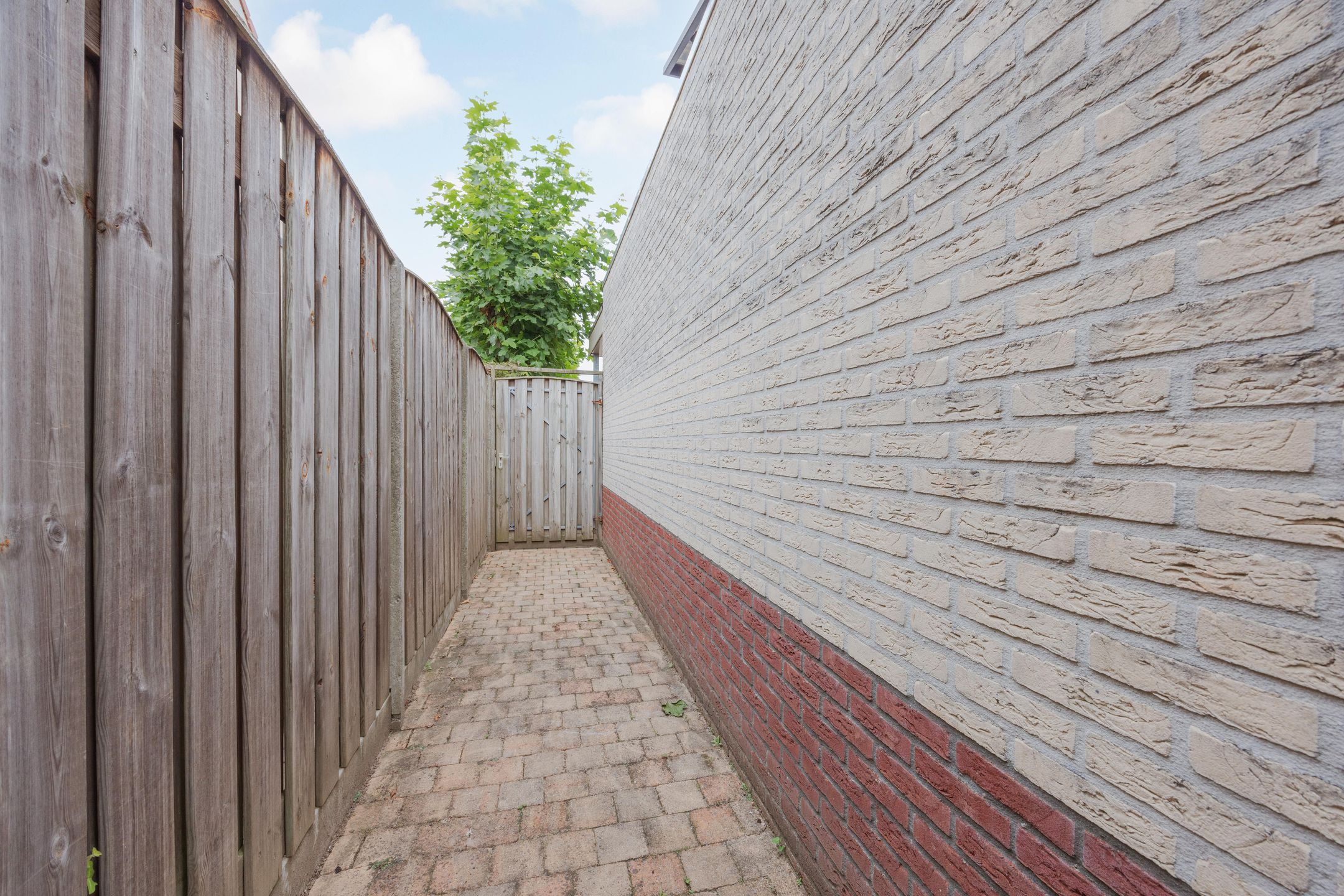 Foto 45 van De Patrijs 8