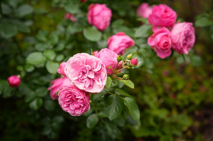 Foto 41 van Stationsstraat 9