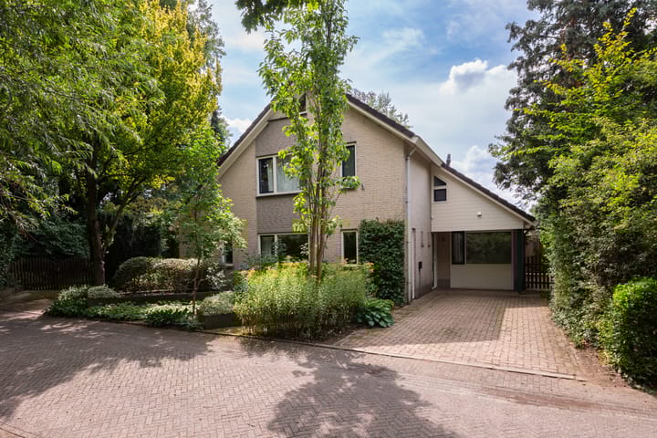 Foto 51 van Johan Buziaustraat 7