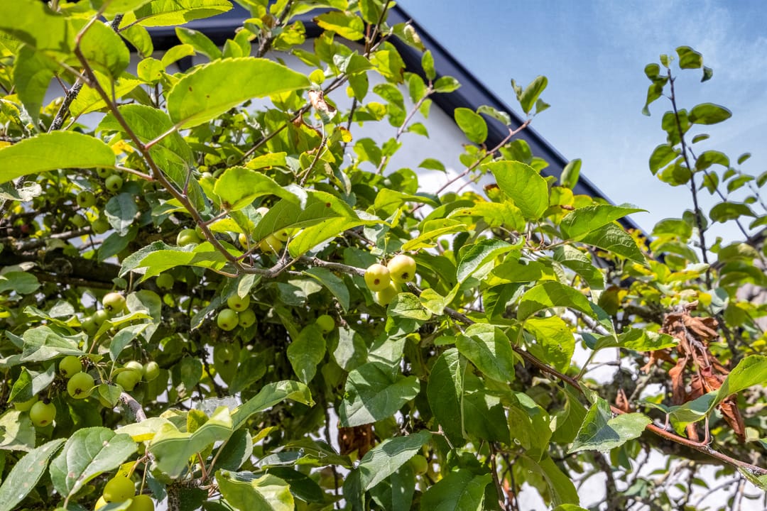 Foto 53 van Oosterstraat 22