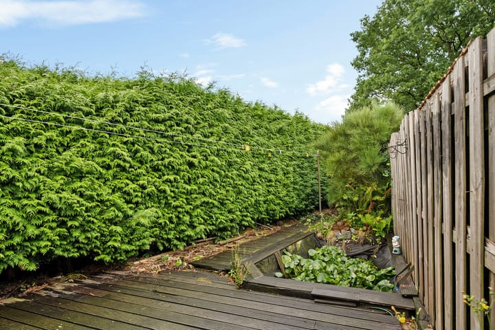 Photo 21 of Schoterlandseweg 57