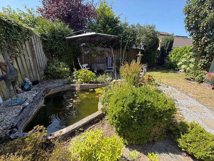 Foto 31 van Willem Barendszstraat 9