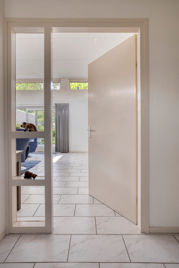 Foto 10 van de Langveter 29