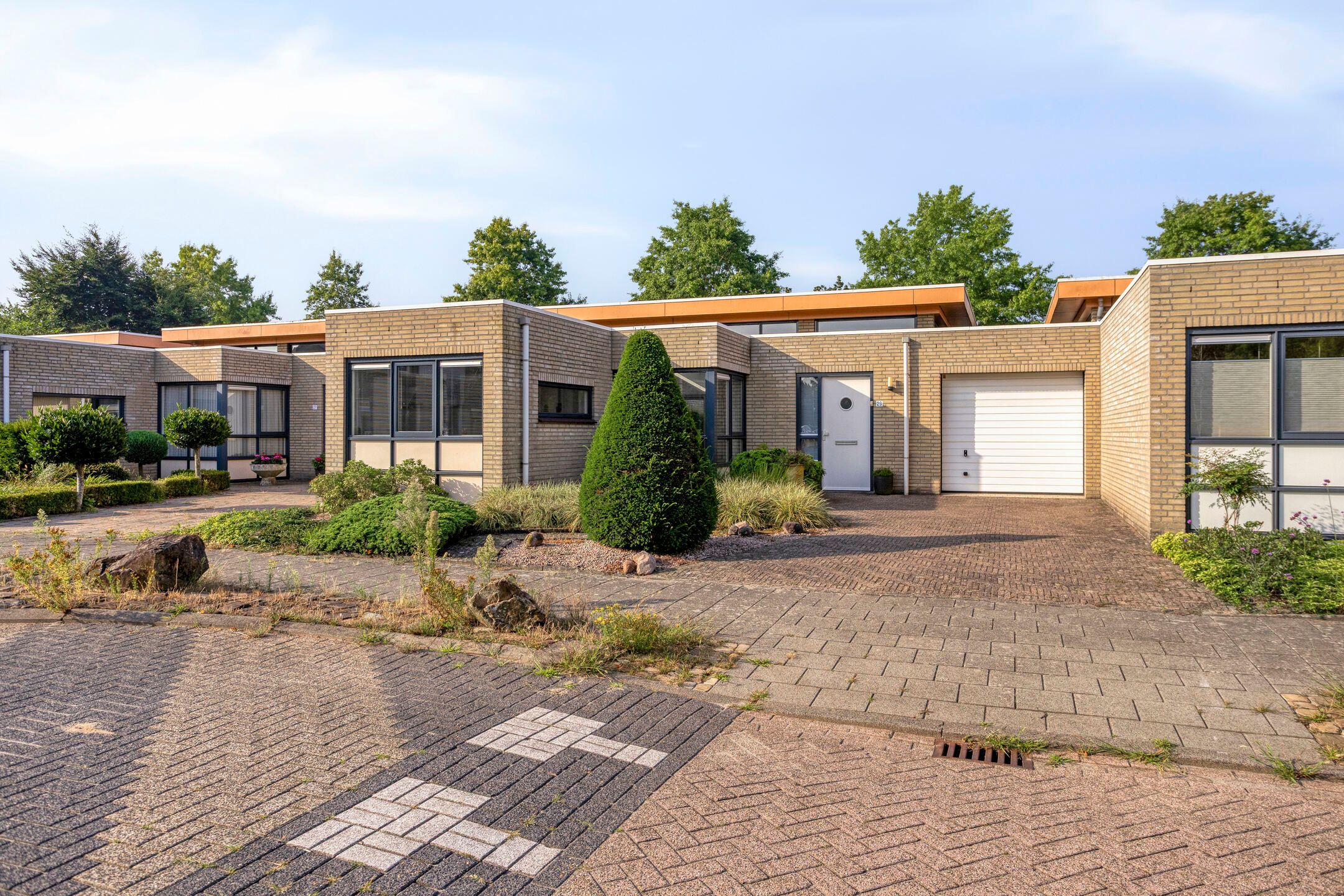 Foto 6 van de Langveter 29