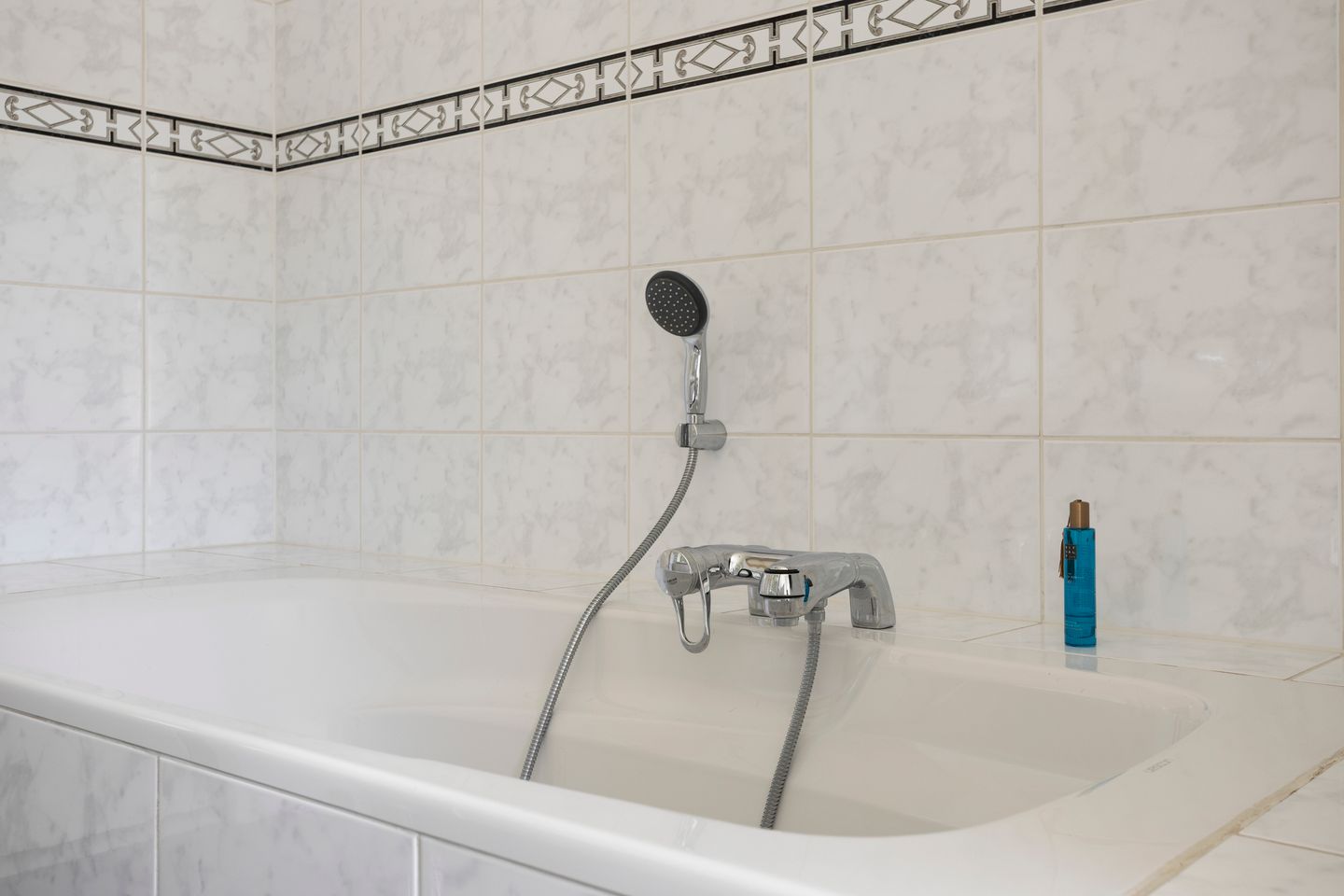 Foto 29 van de Langveter 29